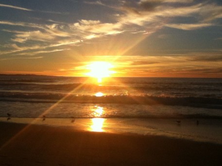 Marina State Beach 11-26-14